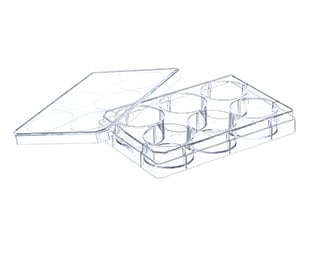 Greiner Bio-One North America, Inc - 657165