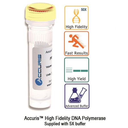 Benchmark Accuris High Fidelity DNA Polymerase