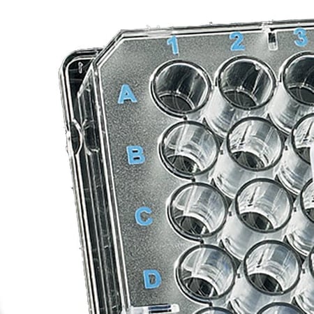 Immunoassay Microplates from BrandTech