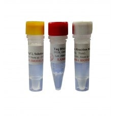 Molecular Designs - D118-1000