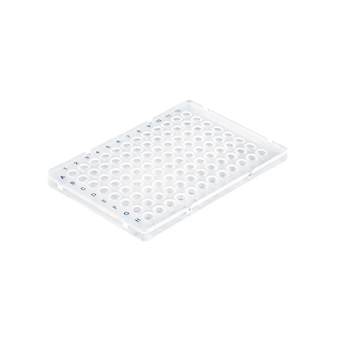 BrandTech Scientific - 781373