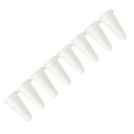 Oxford Lab Products - PCR Strip Tubes - OPT-RTW1-T