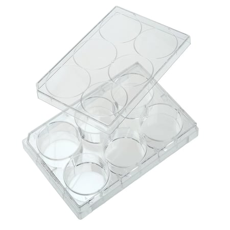 CELLTREAT - Non-Treated Multiple Well Plates (Polystyrene) - 229506
