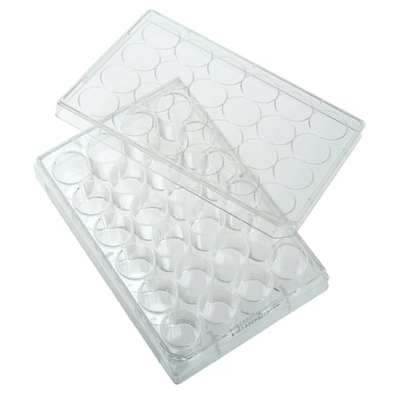 CELLTREAT - Non-Treated Multiple Well Plates (Polystyrene) 24 Well - 229524
