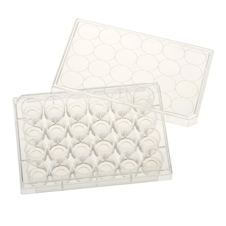 CELLTREAT - 24 Well Glass Bottom Tissue Culture Plate, 10mm Glass, Sterile - 229125
