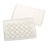 CELLTREAT - 24 Well Glass Bottom Tissue Culture Plate, 10mm Glass, Sterile - 229125