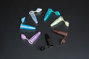 229444A-IMG1021-600x401