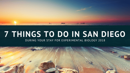 7 Things to Do in San Diego