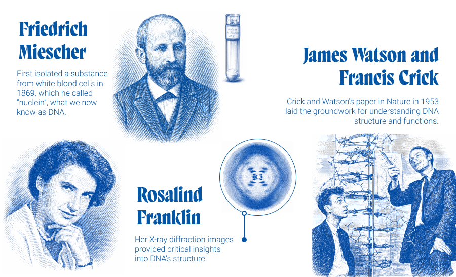 A Brief History of DNA Discovery