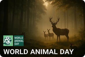 Animal world day-3