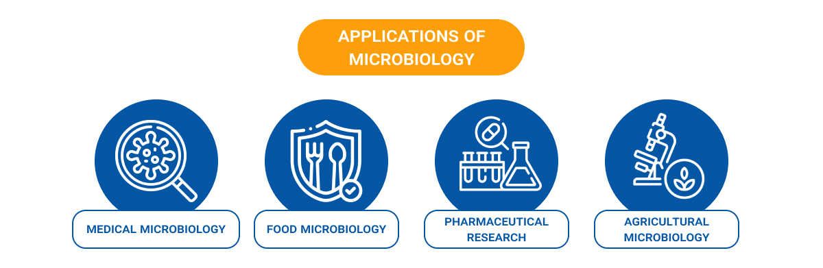 Infographic titled "Applications of Microbiology" with four blue circular icons representing different fields. From left to right: Medical Microbiology (virus under magnifying glass), Food Microbiology (shield with spoon, fork, and heart), Pharmaceutical Research (test tubes and flask with pill symbol), and Agricultural Microbiology (microscope with plant symbol). Each application is labeled beneath its respective icon.