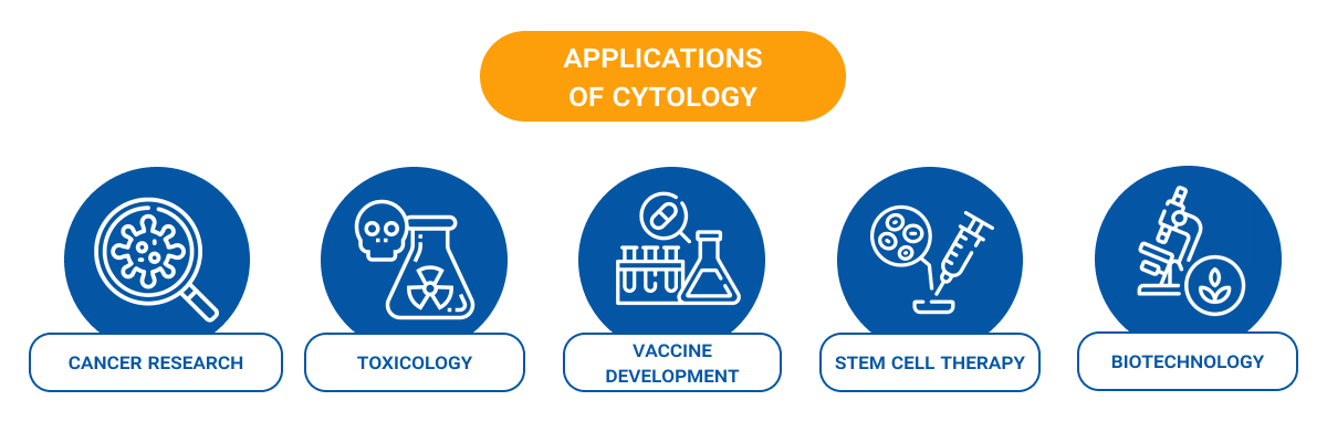 Illustration showing five key applications of cytology: Cancer Research, Toxicology, Vaccine Development, Stem Cell Therapy, and Biotechnology. Each is represented with a labeled blue icon and simple graphic.