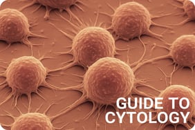 GUIDE to cytology-1