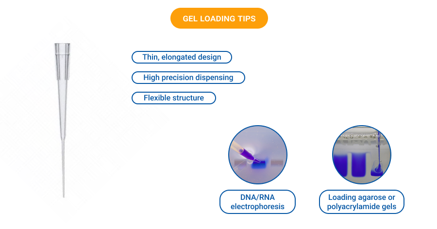 Gel Loading Tips