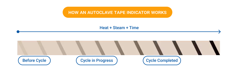 Graphic titled “How an Autoclave Tape Indicator Works” showing a timeline labeled “Heat + Steam + Time.” A strip of indicator tape is displayed with stripes gradually darkening from light beige (before cycle) to dark brown (cycle completed).