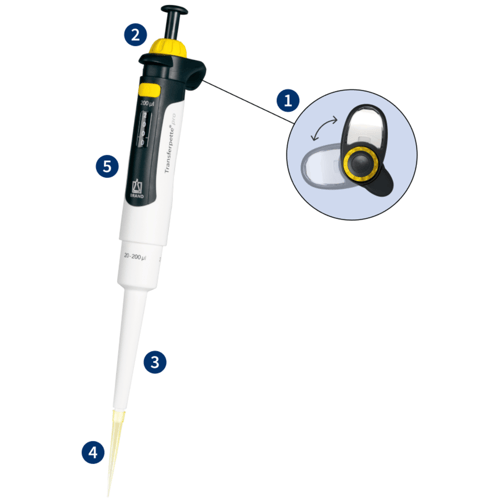 How the Transferpette® pro makes your work simple, easy, and efficient