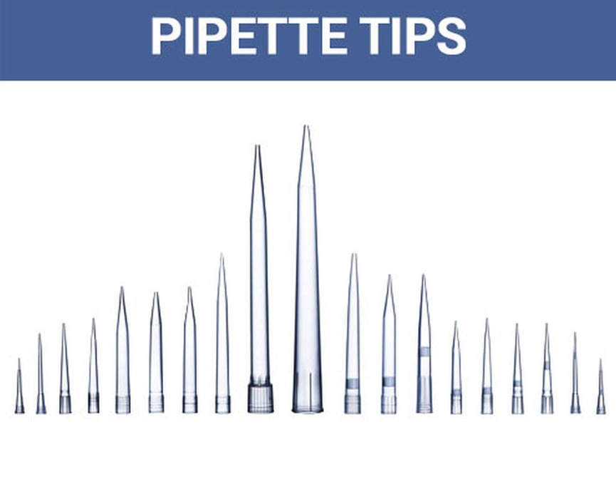 Sifting Through the Tips Pile