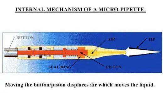 Internal Mechanism of a Micro-pipette