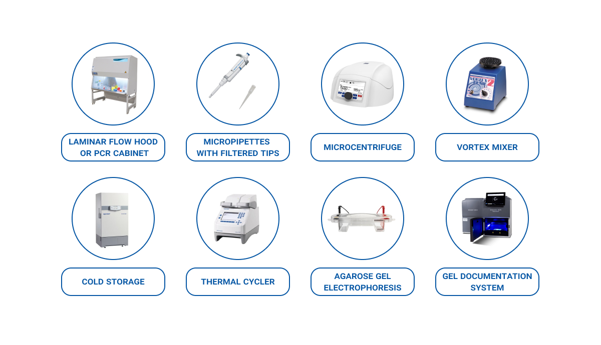Essential PCR laboratory equipment, including laminar flow hood or PCR cabinet, micropipettes with filtered tips, microcentrifuge, vortex mixer, cold storage unit, thermal cycler, agarose gel electrophoresis system, and gel documentation system, each depicted with an icon and labeled underneath.