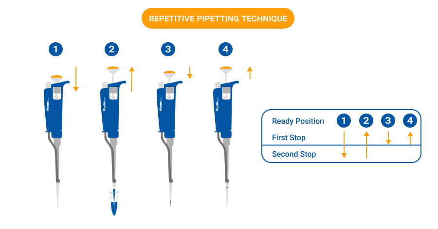 Repetitive pipetting differs from both in that a large volume is aspirated once and then dispensed in multiple equal aliquots, making it ideal for high-throughput tasks such as plate filling or reagent distribution.