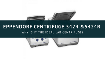 Science &Animals (10)