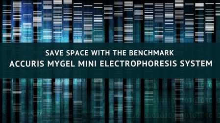 Science &Animals (13)