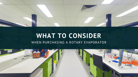 Science &Animals (19)