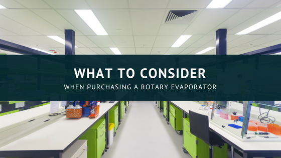 Science &Animals (19)