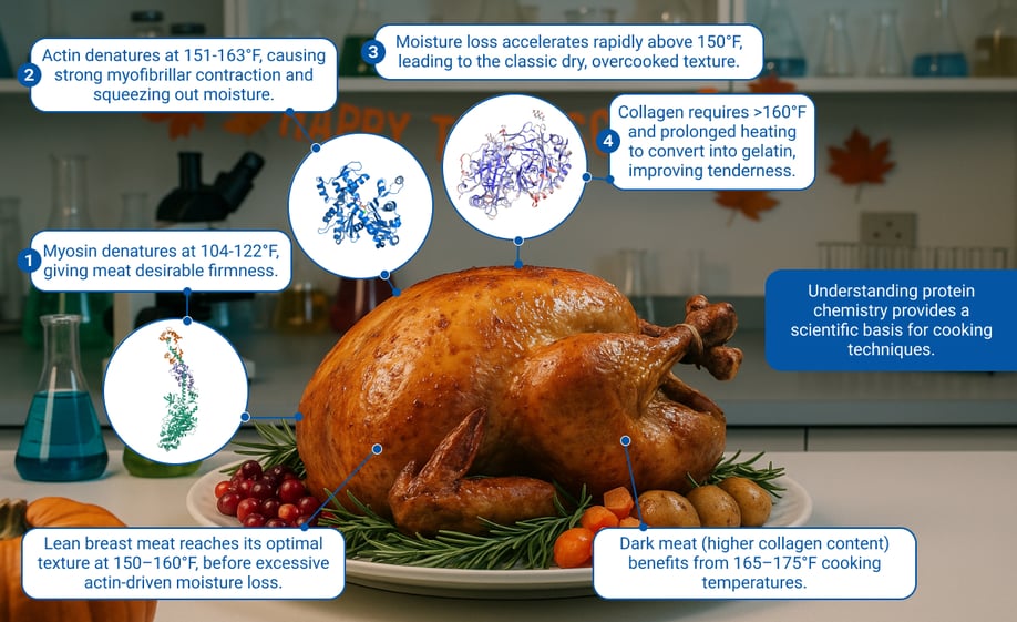 The Thermal Secrets Behind Juicy vs. Dry Turkey