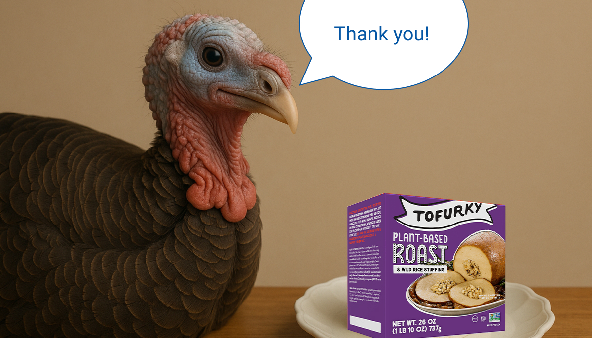 Turkey thanks tofurkey