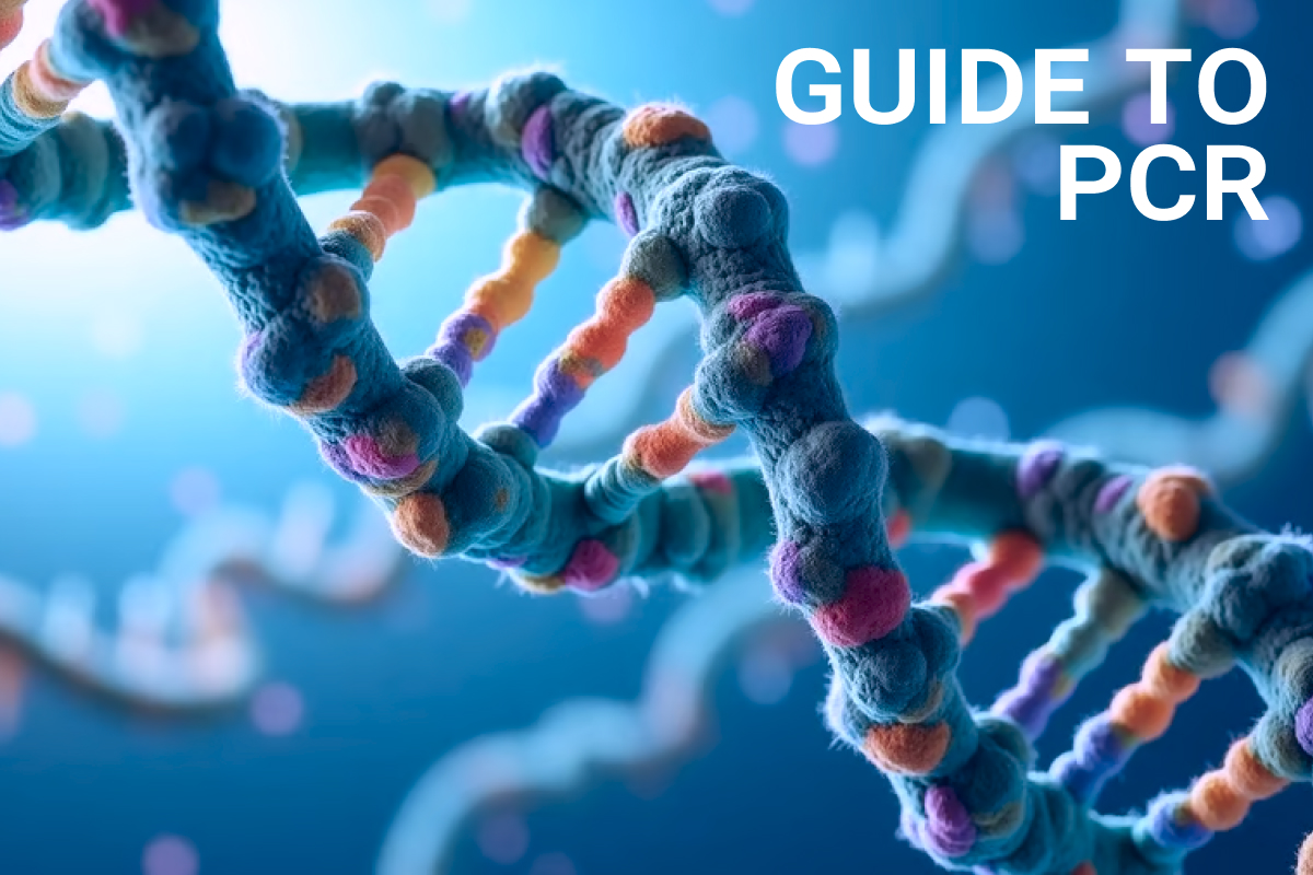 Close-up 3D illustration of a DNA double helix with colorful molecular details, set against a blurred blue background, with the text “Guide to PCR” in white in the upper right corner.