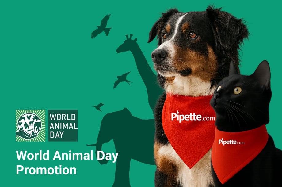 Let’s Celebrate World Animal Day Together