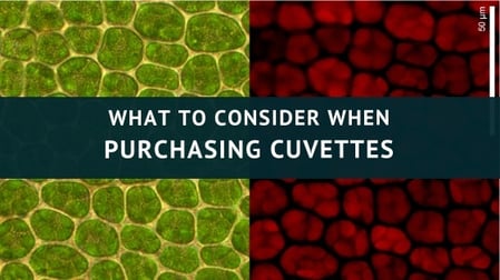 magnetic stirrer (3)