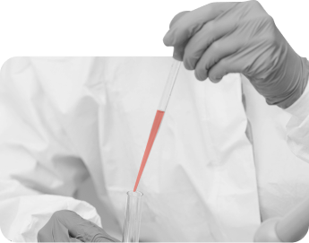 Immunology Immunology