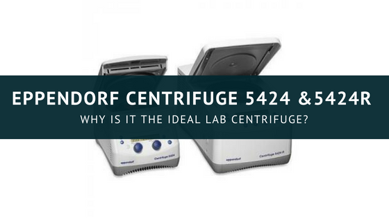 Science &Animals (10)