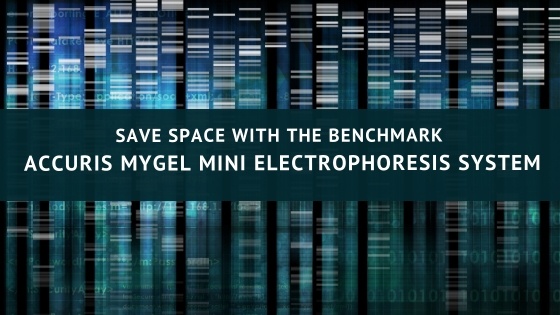 Science &Animals (13)