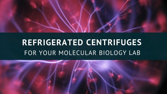 Science &Animals (7)