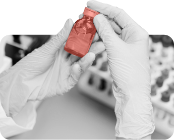 cell culture cell culture