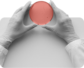 microbiology microbiology