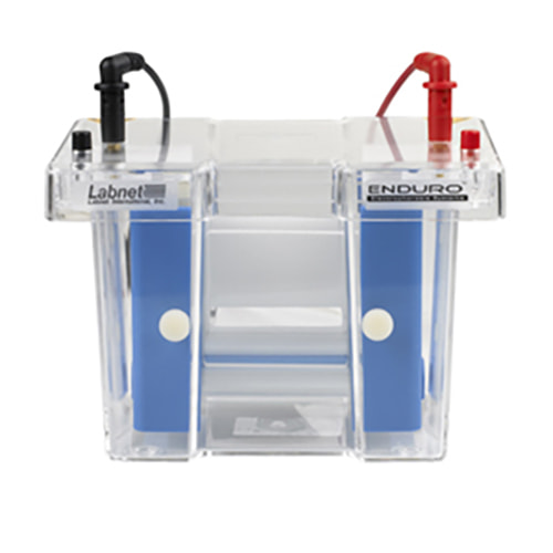 Labnet Enduro Electroblotting System, Includes Tank, Blotting Insert & 3 Cassettes
