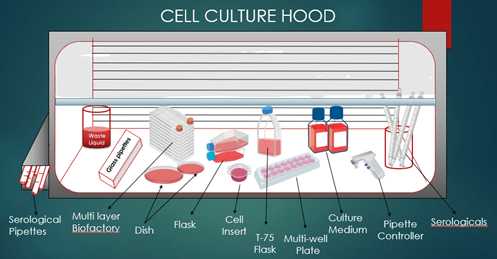 Concentrating cells, Serological pipettes, centrifuge, sterile centrifuge tube