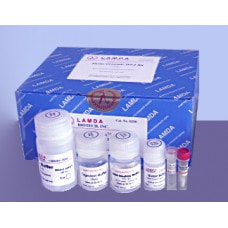 Lamda Bio Total RNA Mini-Preps Kit, Column-Pure