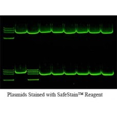 Lamda Bio SafeStain Super-PCR Kit