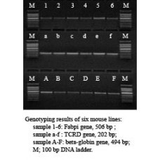 Lamda Bio DIRECT-PCR KIT: For Mouse Genotyping, 1000rxn