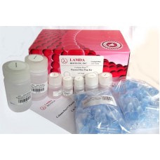 Lamda Bio Column-Pure Plasmid Mini-Prep Kit