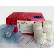 Lamda Bio Column-Pure PCR Clean-Up Kit