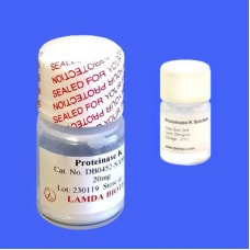 Lamda Bio Proteinase K Powder and Solution