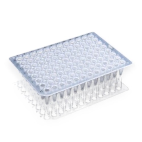 NEST Scientific 0.2ml 96 Well PCR Plate, No Skirt, White, H1 notch, 25/pk, 100/cs