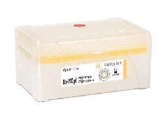 Sartorius BH TIP 0.5-200ul, racked (10X96) STR