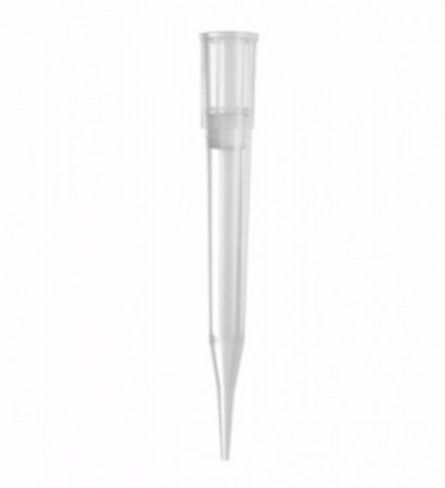 Nichiryo 300uL universal pipette tip, clear, 96 tips/rack, 10 racks/pack